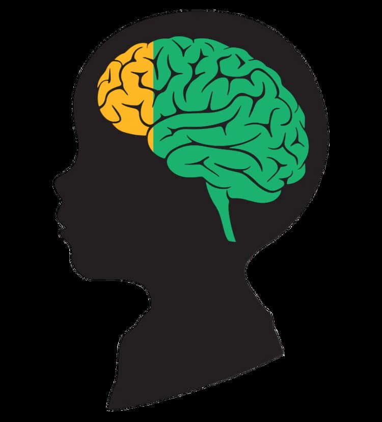 Child brain development